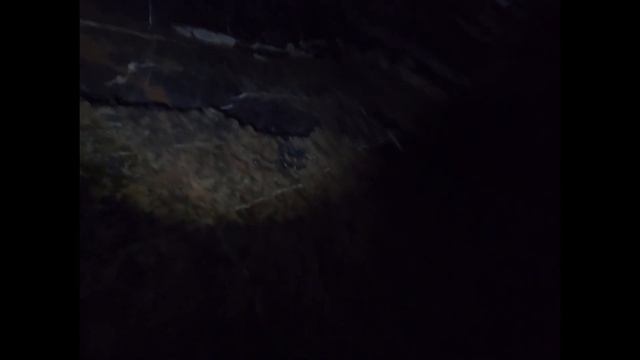 LA CUEVA DEL POZO LERO DEL CERRÓ DE LAS MITRAS смотреть онлайн