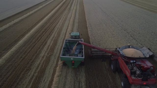Wheat Harvest 2021 смотреть онлайн