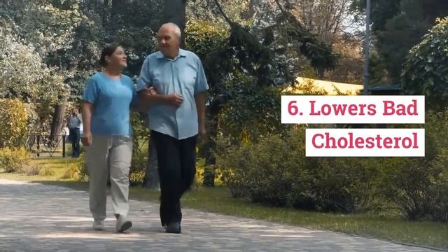 Health Benefits of Camellia Oil смотреть онлайн