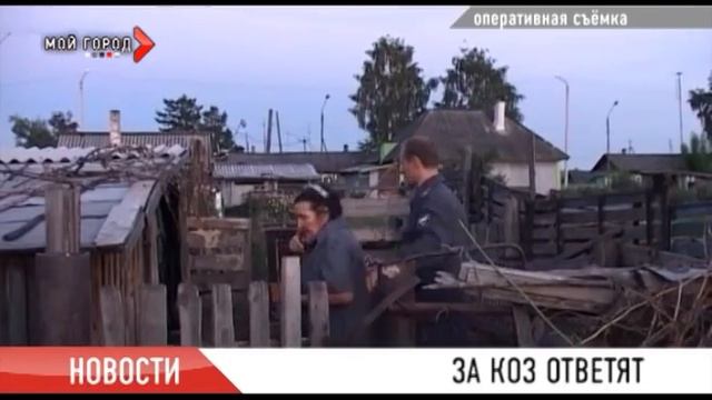 Полицейские Прокопьевска задержали воров, угонявших коз и коров смотреть онлайн