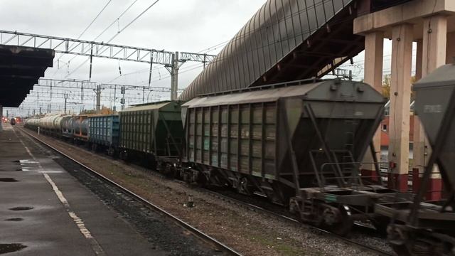 Электровоз ВЛ10У-588 с грузовым поездом проследует Рыбацкое на хорошей скорости, г. СПБ., 19.10.23 смотреть онлайн