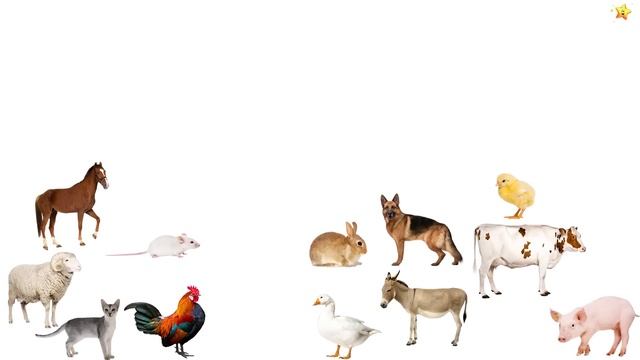 Учим Животных по Системе МонтессориРазвивающие Мультики для Детей смотреть онлайн