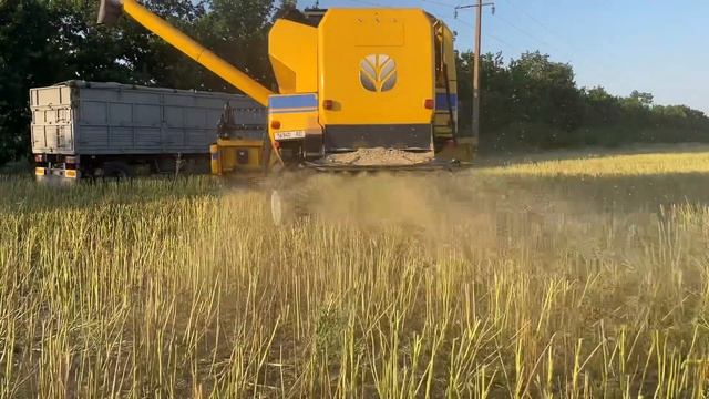 Комбайн New Holland TC 5.90 косим ріпак