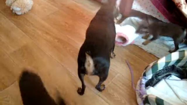 MOV02954 смотреть онлайн