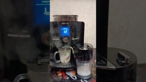 Кофемашина KRUPS EA82 ( Результат )