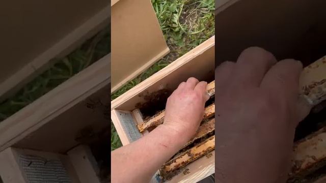 3 мая 2024 г. смотреть онлайн