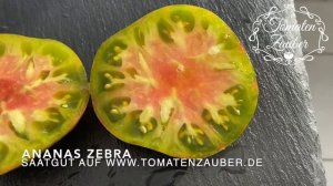Ananas Zebra Tomate - Tomatenzauber.de