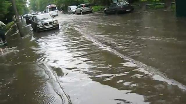 Animal Kingdom Exploration