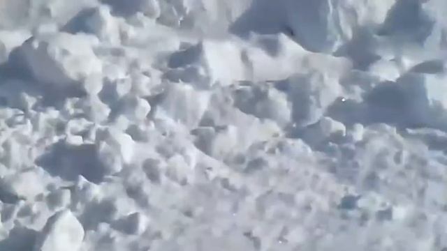 Гон голубей!) смотреть онлайн