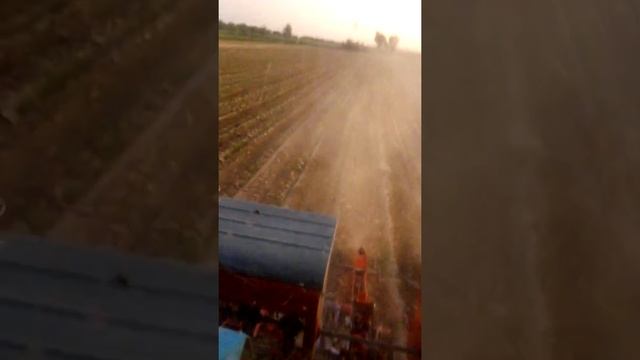 Култиватор кукуруз смотреть онлайн