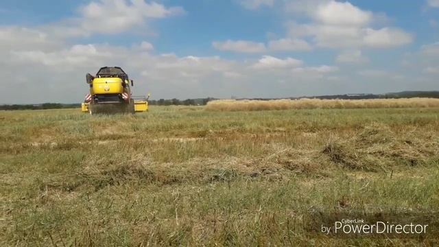 Moissons de colza 2018 смотреть онлайн