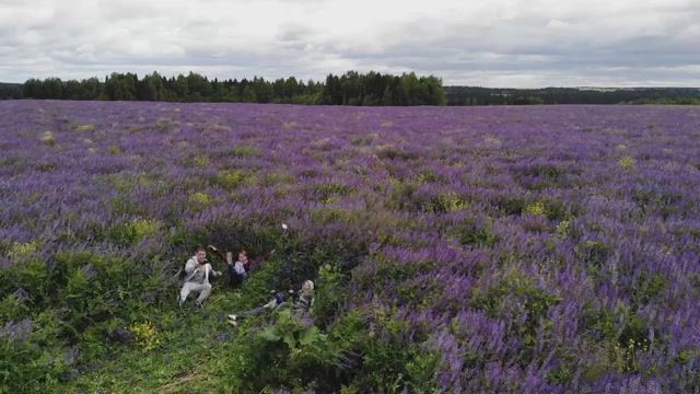 PDP Вятка 2020 фильм