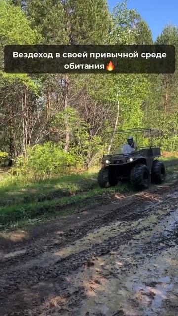 Выпустили зверя на обкатку #бездорожье #охота #offroad #болотоход #вездеход #рыбалка #грязь смотреть онлайн