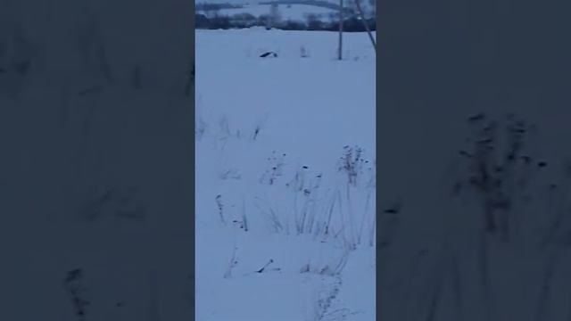 24ЧАСА/НА КОНЬКАХ ⛸️⛸️/1часть/ЧЕЛЛЕНДЖ 😉 смотреть онлайн