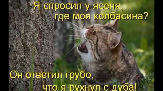 Посміхнись) смотреть онлайн