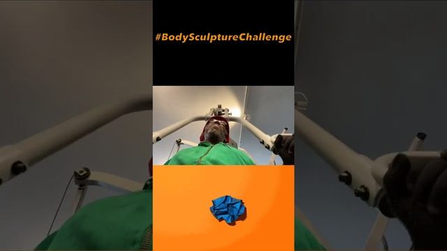 The Body Sculpture Challenge смотреть онлайн
