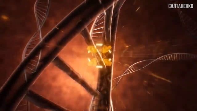 ВОСКРЕСШИЙ ВЫСТУПАЕТ В ООН! Он был мертв 45 МИНУТ @SaltanenkoMinistry автор смотреть онлайн