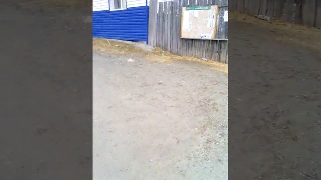 5-55 смотреть онлайн