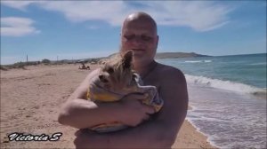 Крым. Керчь. Лучшие места для отдыха. Мама Русская - Курортное. Victoria S