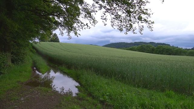Mit Karte ohne Handy quer durch den Odenwald смотреть онлайн