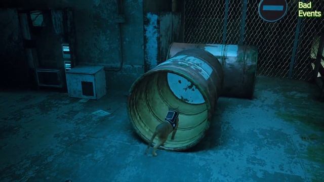 Спасение Дока | Слушаем оставшиеся песни | Stray #9 смотреть онлайн