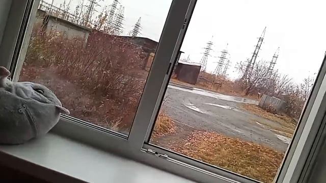 2 часа в холодной комнате ЧЕЛЛЕНДЖ смотреть онлайн
