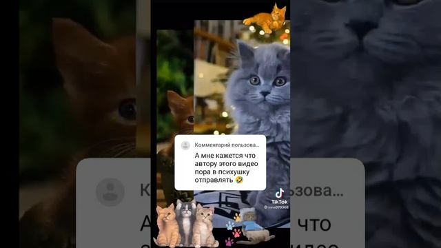 3 июня 2024 г. смотреть онлайн