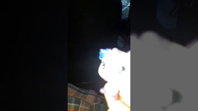 20 сентября 2017 г. смотреть онлайн