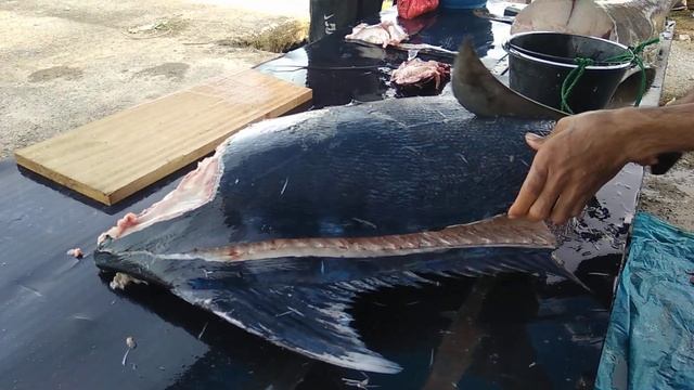 CUTTING BIG SCREEN FISH, ORIGINAL INDIA-PACIFIC OCEAN.|| WEIGHT 530 LB смотреть онлайн