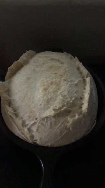 롯지 무쇠팬 오븐 홈베이킹 사워도우 미드베이크 Homebaking Sourdough midbake ovenspring using Lodge Cast iron Combo cooke смотреть онлайн