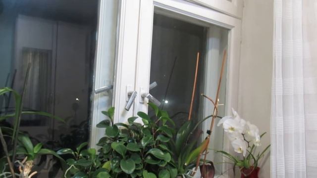 В тот час... смотреть онлайн