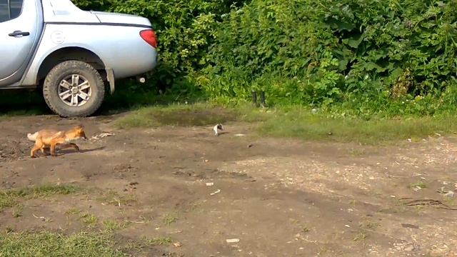 вернулся спустя несколько часов... смотреть онлайн