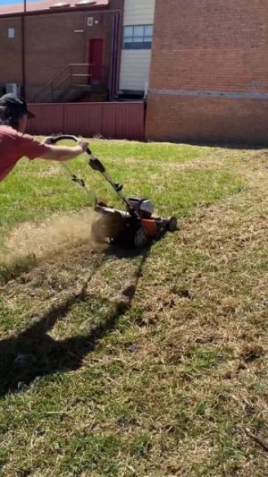 Mowing the paddock with my STIHL RMA 510 Battery Mower. I did a amazing job with the Battery Mower
