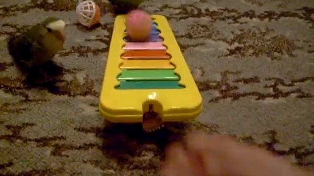 Мои птеродактили Lovebirds смотреть онлайн