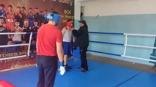Спаринг Кант 24.10.2020 смотреть онлайн
