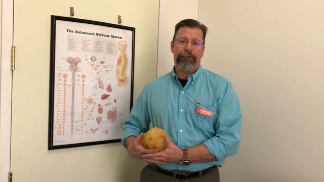 Medical Moment - Weight Loss Program смотреть онлайн