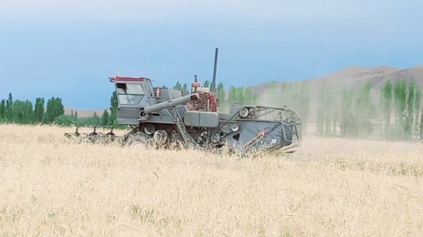 Комбайн «НИВА СК-5 М-1» сделано в СССР год выпуска 1989 (модернизированный)