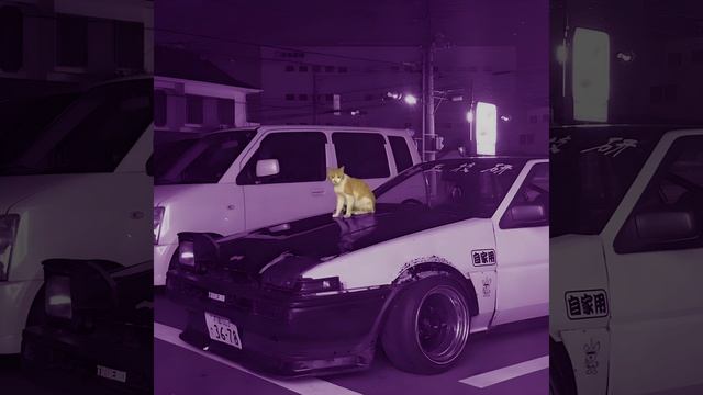 soviss "kitty phonk (Sped Up)" смотреть онлайн