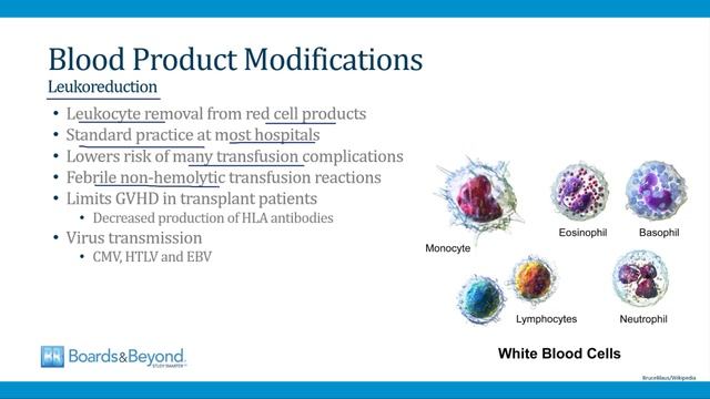 8.Blood Products смотреть онлайн