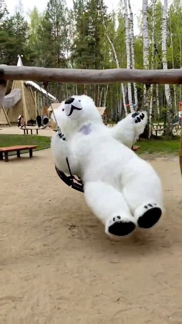 WOW! 😎Белый Медведь на детской площадке! #белыймедведь #shorts смотреть онлайн