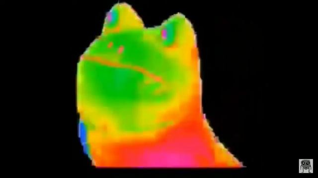 жаба😂😂😂 смотреть онлайн