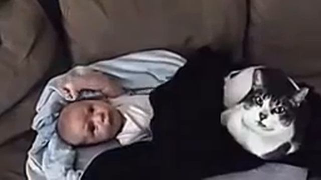Дети и кошки смешное видео с детьми смотреть онлайн