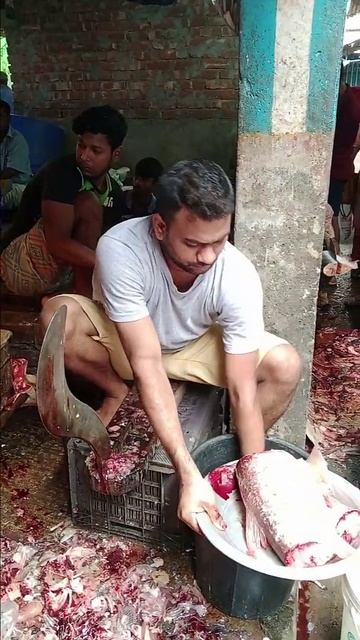 Amazing Big Silver Carp Fish Cutting Skills In Bangladesh #shorts смотреть онлайн