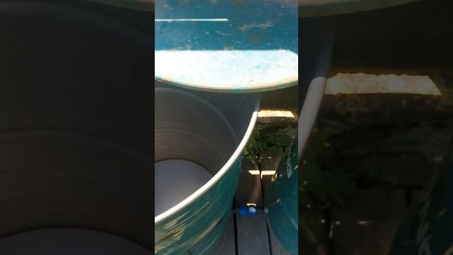 установка бочек на подиум. смотреть онлайн