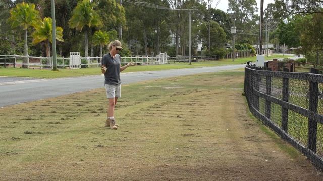 Lawn Renovation '22 // Part 1 - Scalping and Dethatching (Scarifying) смотреть онлайн