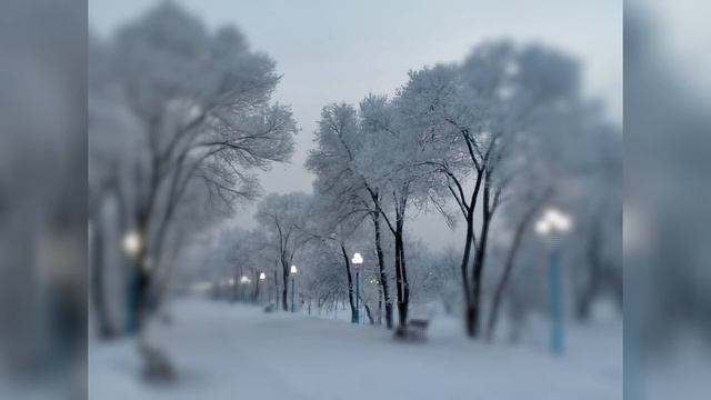 Действуй так, чтобы получить награду/Утренние наставления/Александр Солонович смотреть онлайн
