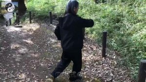 016 лабиринты кунг-фу