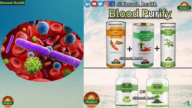 Seabuckthorn Uses | जानिए किन किन बीमारियों मे करे Seabuckthorn का Uses |Biosash Business pvt ltd смотреть онлайн