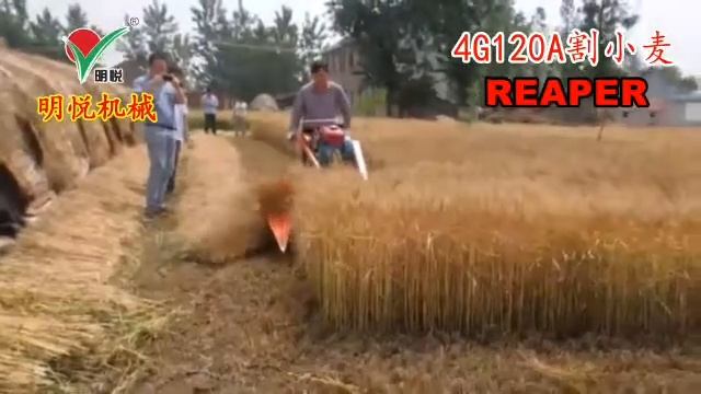Бугдой урадиган ускуна смотреть онлайн