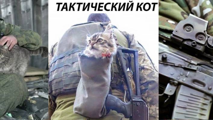 " КОТ И ФРОНТ " / " Антураж войны суров " смотреть онлайн